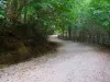 Negocieri de 1 milion de lei pentru „lumina liliecilor”