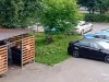 Un mistreţ, „ca la el acasă”