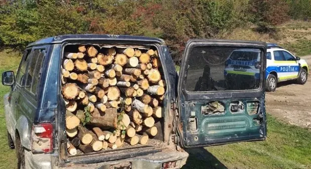 Prinşi cu drujba în Pădurea Dealul Frumos