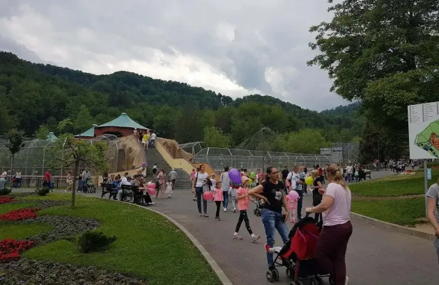 O dronă a căzut la Zoo Braşov