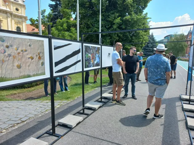 Fotografi din 38 de ţări, cele mai reuşite instantanee ale „Mamei Natură”, expuse la „Lupoaică”
