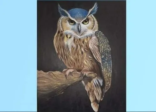 Pictura unui medic, în galeria de pe scară a Bibliotecii Judeţene „George Bariţiu”