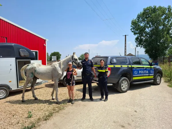 Poliţia, secţia Facebook: Pozele cu un cal prea slab au declanşat o anchetă