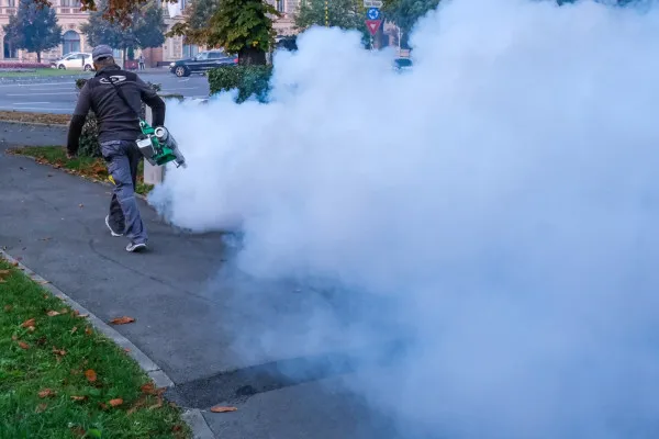 De azi, o nouă „stropire” pentru căpuşe, în municipiul Braşov