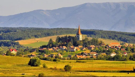 Copil, rănit de un cartuş