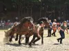 Sărbătoarea cailor, la Râşnov