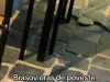 Căldura scoate reptilele… în Centrul Braşovului