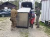 „Capcană” pentru urs, la Râşnov