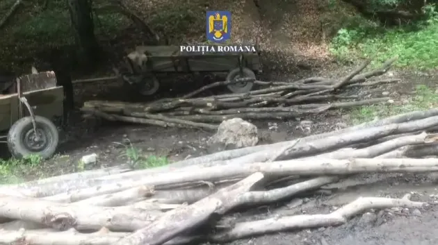 Patru căruţe cu 11 metri cubi de lemne, fără acte, confiscate de poliţişti
