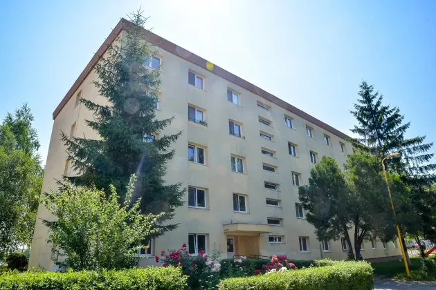 Scandalagiii vor fi evacuați din locuințele sociale. Consiliul Local Brașov a aprobat noi reguli pentru chiriași