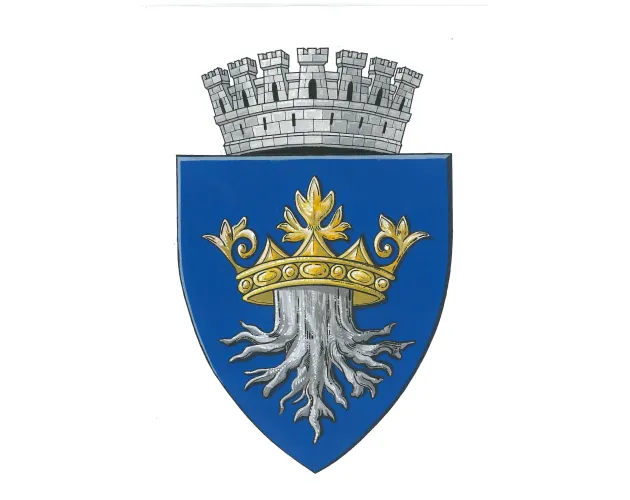 Municipiul Braşov are o stemă oficială