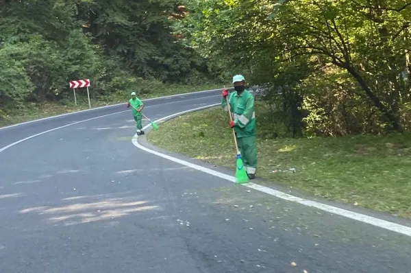 O nouă modă în curăţenia stradală din municipiul Braşov. Măturători în pădure