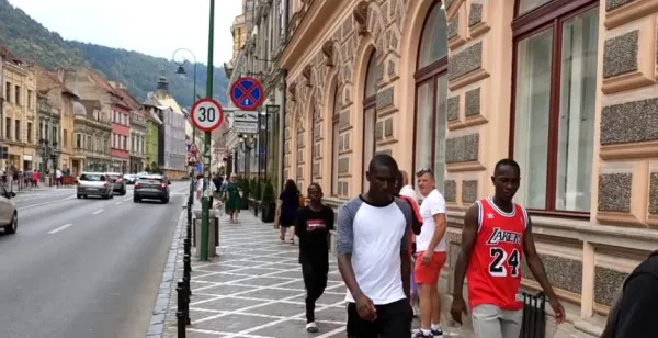 Cadou de la UE: aduşi din Kenya la Braşov