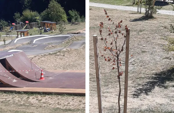 De-o zi, de nicio vară: Parcul de La Iepure a început să se usuce