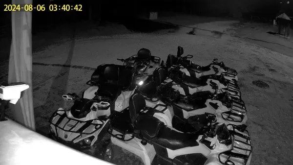 Poiana Brașov, vizitată și de lupi. În pădurile municipiului ar trebui să fie 6 lupi, dar sunt aproximativ 20