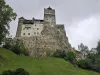 Castelul Bran a adus familiei Habsburg un profit net de 4,8 milioane de euro