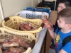 Proiectul prin care elevii primesc lapte şi fructe în şcoli, din nou întârziat