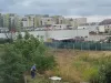 Electrica şi „iarba şefului”   