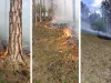 Al 3-lea incendiu de pădure într-o săptămână. După Piatra Mare şi Râşnov, Măieruş