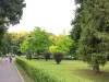 „Marea hămăceală”, la Braşov
