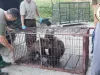Cinci orfani aduşi la Zărneşti