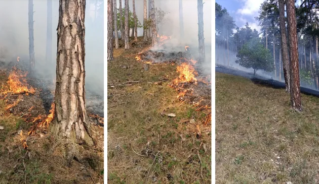 Al 3-lea incendiu de pădure într-o săptămână. După Piatra Mare şi Râşnov, Măieruş