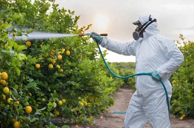 Pesticidele pot fi responsabile pentru şase tipuri de cancer