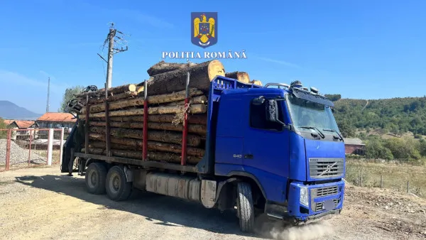 Un camion de lemne confiscat, la Râşnov