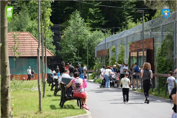 O zi specială pentru părintele adoptiv cu numărul 100