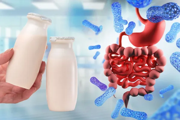 Cele mai bune prebiotice și probiotice pentru sănătatea intestinelor