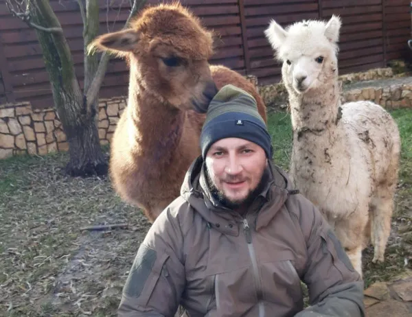 Godină a intrat în gura iubitorilor de animale