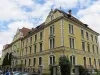 Dosarul de viol, redeschis la „Aprily Lajos”. Elev adormit de colegi, răpit şi dus într-o cabană, pentru sex, distracţie şi filmări video