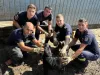 Un căţel a supravieţuit 5 zile sub dărâmături. A fost salvat de pompierii din Braşov