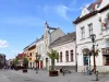 Capriciile naturii: O dimineaţă cu – 0,4 grade Celsius!
