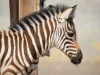 „Beauty” – puiul de zebră de la Zoo Braşov a fost „botezat” de părinţii adoptivi