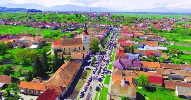 Bodul va avea o „pădure parc” 