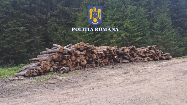 Ocoalele silvice, în vizor. La primul controlat, 105 mc de lemn confiscat