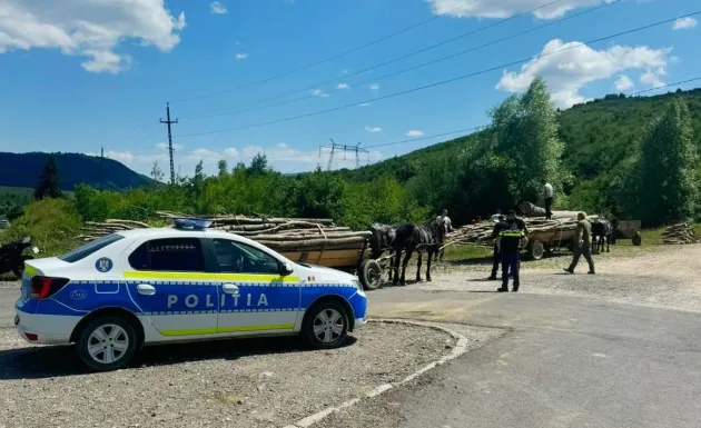 Din Dumbrăviţa, la furat de lemne în Măieruş. Prinşi în flagrant, la pont