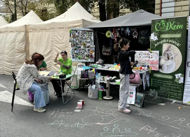 Ei salvează pisicile Braşovului