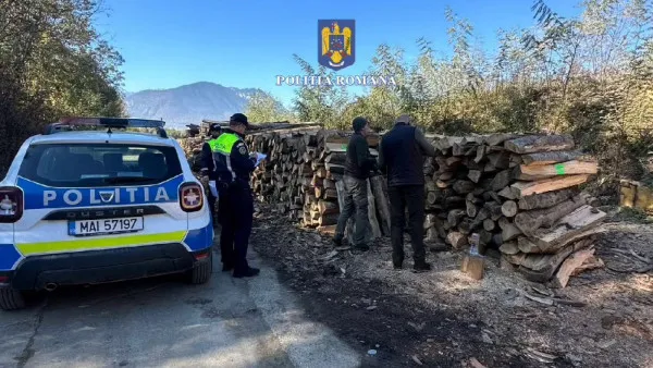 Razie de amploare la Râşnov şi Zărneşti: descindere la 19 firme care vând lemne. La o singură societate, 3.857 de metri cubi fără acte