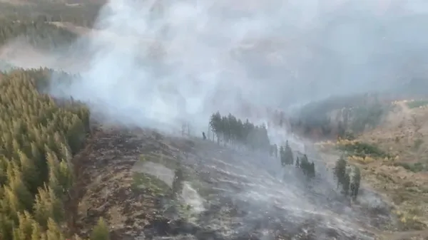 A 4-a zi! Pompierii intervin în continuare la Vârful Comisu  