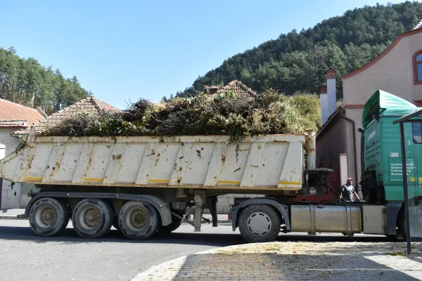 Campanie gratuită de ridicare a deşeurilor vegetale 