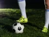 Echipe de fotbal care împart același stadion