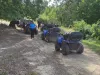 781 de amenzi pentru pătrunderea ilegală în pădure