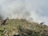4 hectare pârjolite, 2 zile cu zeci de militari şi pădurari în teren