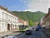Primele decizii: Autobuzele se întorc pe Lungă, benzile BUS se reîntorc la proiectare. Semafoarele de la giraţii rămân: le regândim
