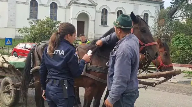 Poliţiştii din Braşov şi Săcele, la Tărlungeni, după căruţaşi. 17 – amendaţi, restul au primit sfaturi