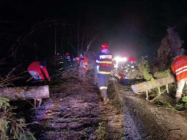 7 apeluri la 112 pentru copaci căzuţi: Zărneşti, Poiana Mărului, Predeal