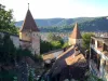 Cu bani din Norvegia şi Elveţia şi cu reclamă din Marea Britanie, au pus Buneştiul pe harta turismului internaţional