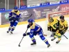 Cupa Continentală: „Lupii”, aproape de o surpriză cu Aalborg